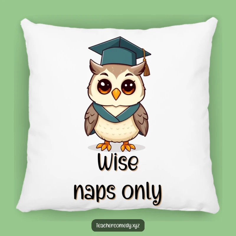 Funny Graduation Owl Pillow: Cozy Scholar for Comfortable Study