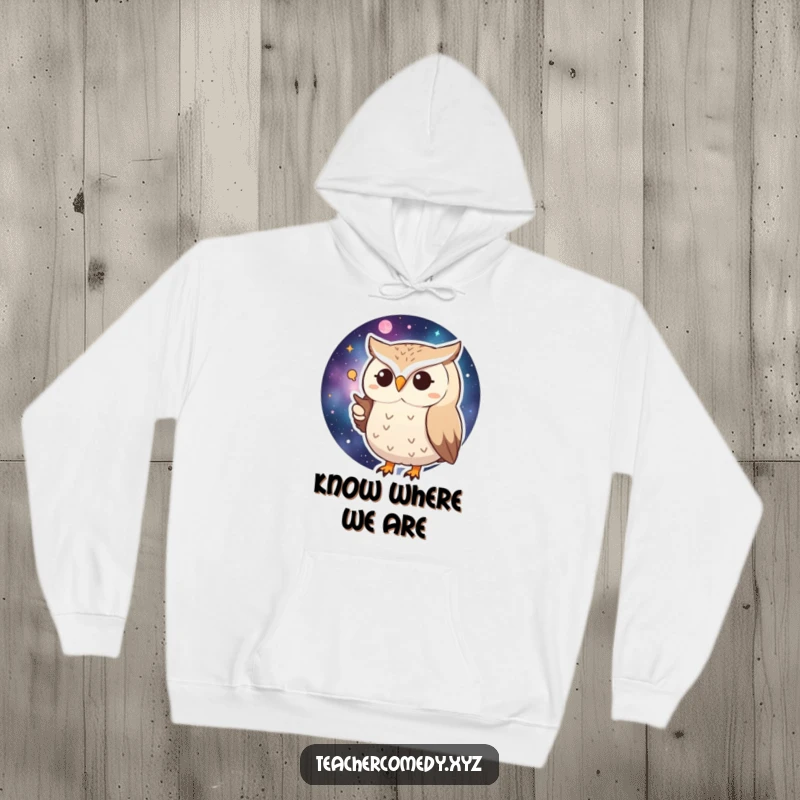 Funny Huffy Owl Hoodie: A cozy hoodie featuring a grumpy owl pointing at a detailed map of the galaxy.